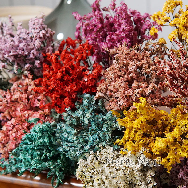 5G/Warna-warni Dired Diawetkan - Candle Making Uk ulasan dan harga