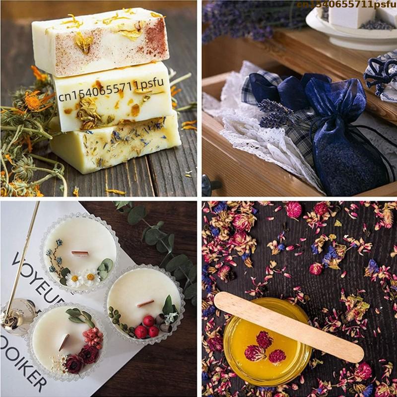 4 Jenis Kuncup Mawar Alami Ber - Candle Making Uk ulasan dan harga
